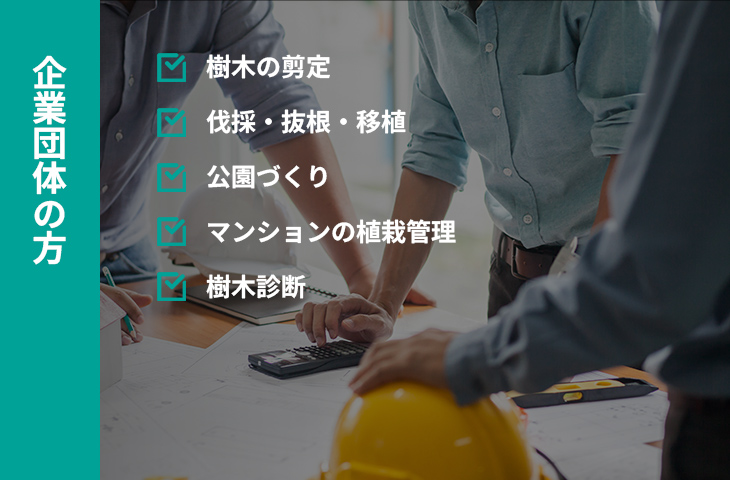 企業団体の方：樹木の剪定・伐採・抜根・移植・公園づくり・マンションの植栽管理・樹木診断